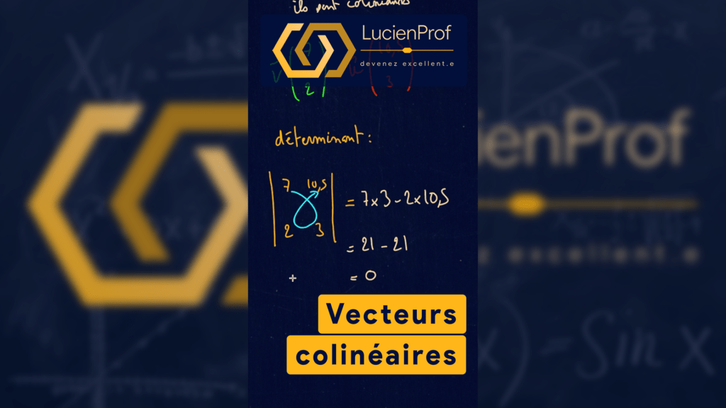 Vecteurs colinéaires