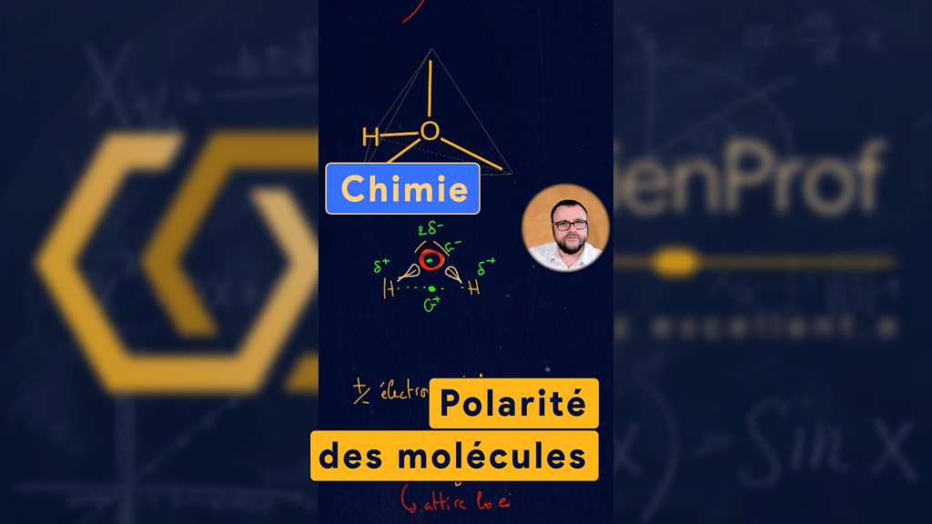 Polarité des molécules